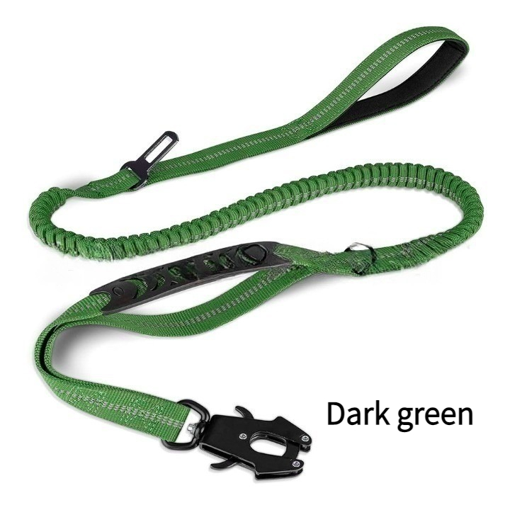 Large Dog Leash