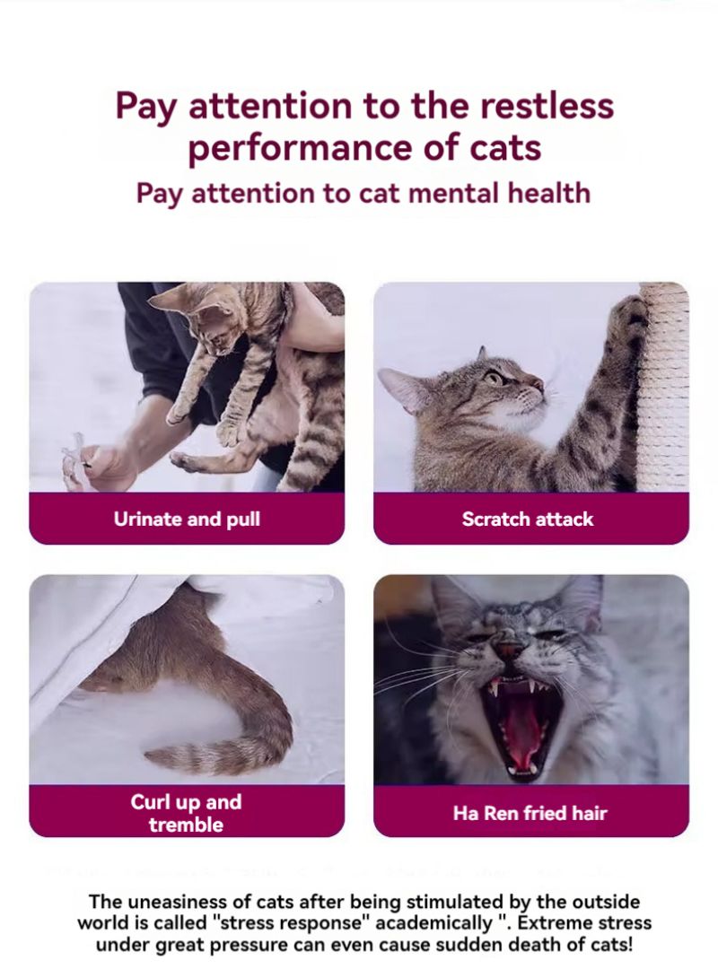 Cat Pheromone - Image 2